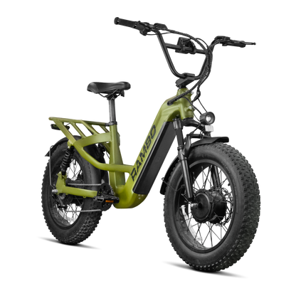 REVOLT AWD High Performance Bike